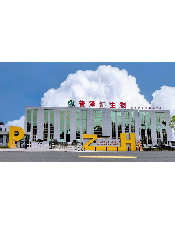 厂房实拍