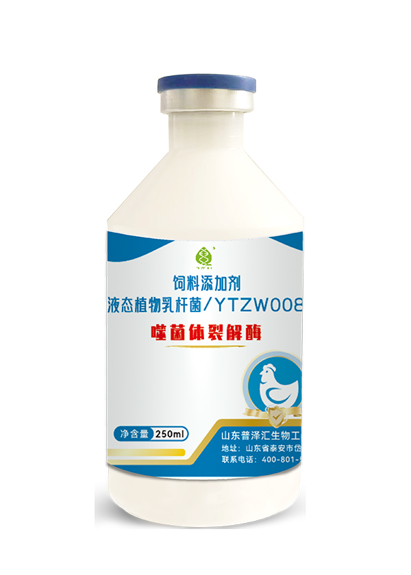 噬菌体裂解酶