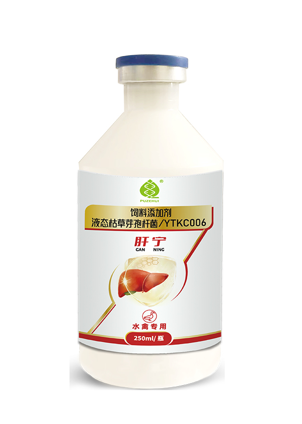 肝宁