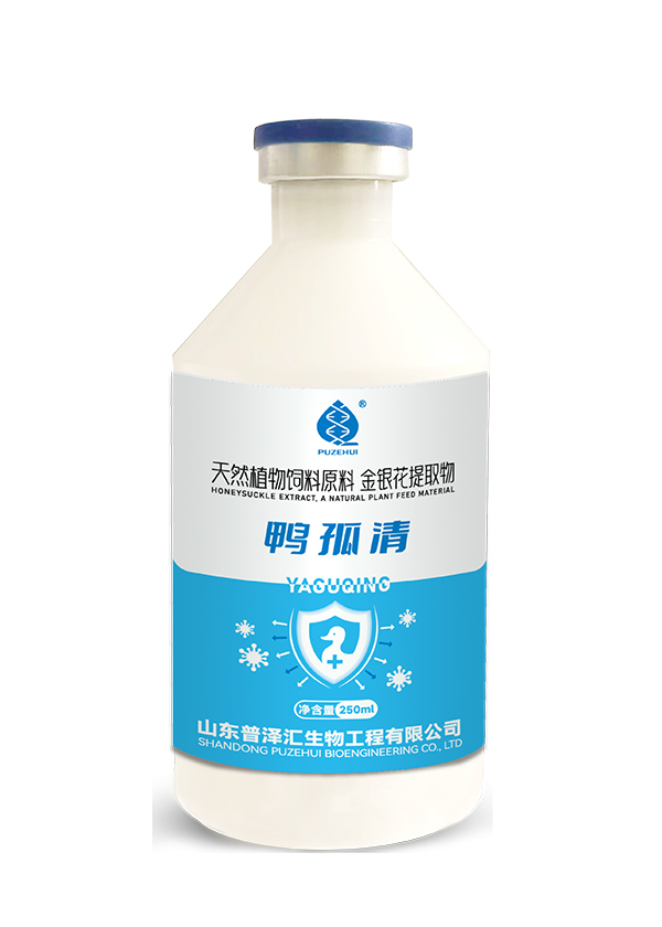 鸭孤清