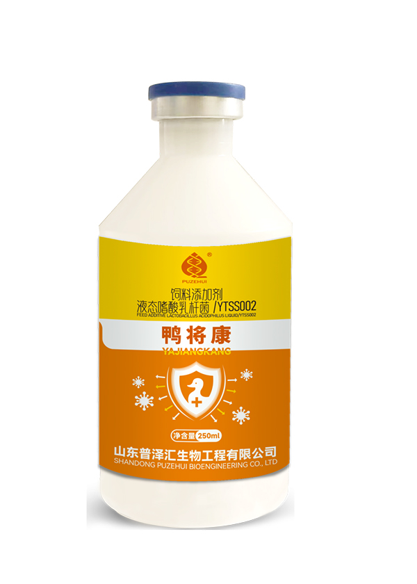 鸭将康